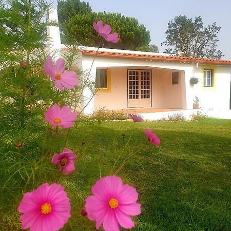 Вилла Sondela Self Catering Сан-Мартинью-ду-Порту Экстерьер фото