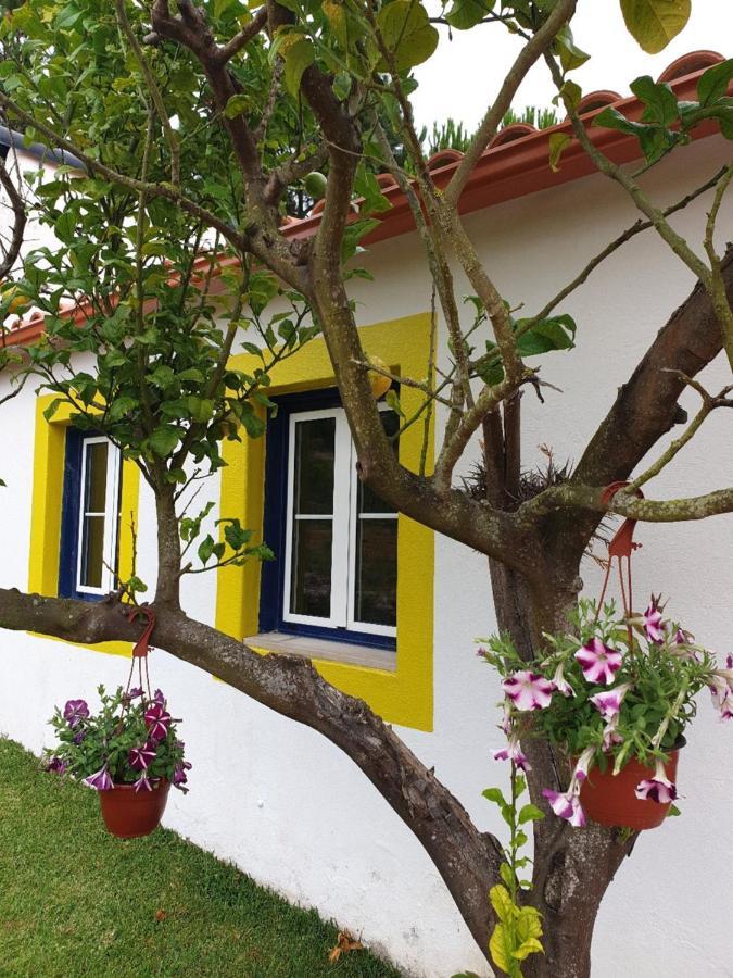 Вилла Sondela Self Catering Сан-Мартинью-ду-Порту Экстерьер фото