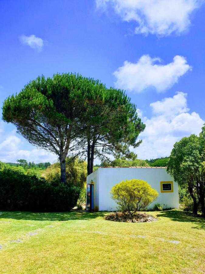 Вилла Sondela Self Catering Сан-Мартинью-ду-Порту Экстерьер фото