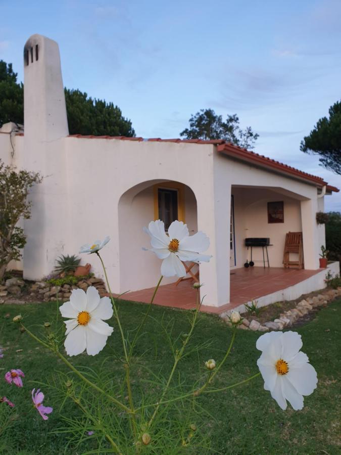 Вилла Sondela Self Catering Сан-Мартинью-ду-Порту Экстерьер фото